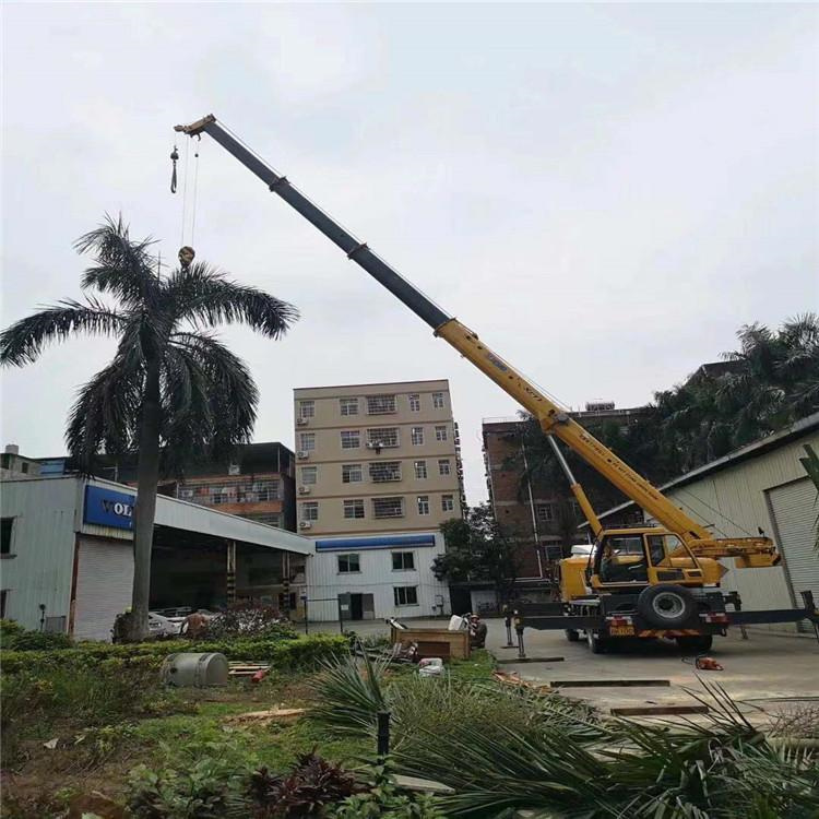 泌阳汽车吊出租多少钱？全面解析与市场行情